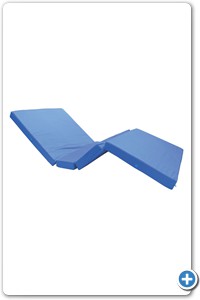 Colchón de hule espuma, cubierto con tela color azul.
Seccionado en 4 partes.
Mide 190 cm x 85 cm x 8 cm.
Soporta 130 kg.

