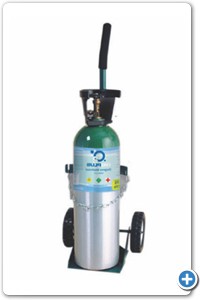 Regulador de .12 a 15 LPM.
Cánula nasal.
Carrito porta-cilindro.
Vaso humidificador.

