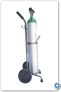 Regulador de .12 a 15 LPM.
Cánula nasal.
Carrito porta-cilindro.
Vaso humidificador.
